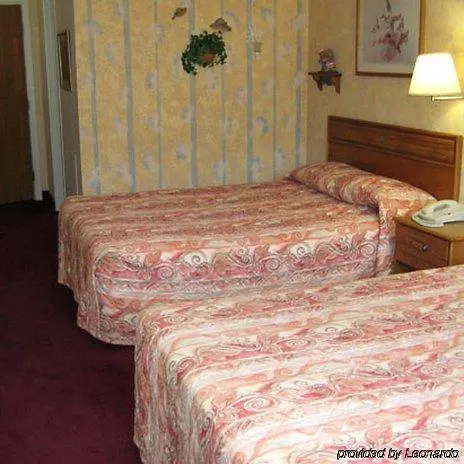 Hotel Tree & 2*