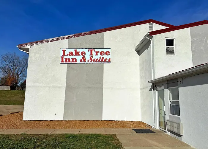 Tree & 2* Woodland Hills
