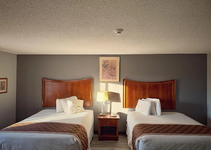 Hotel Tree & 2*