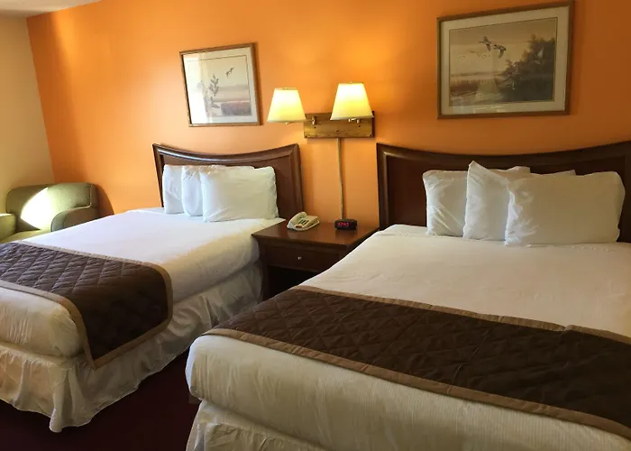 Hotel Tree & 2*