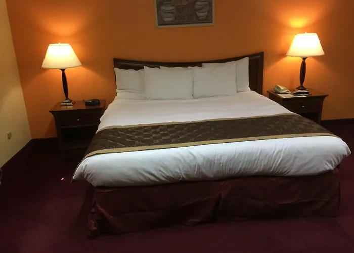 Hotel Tree & 2*